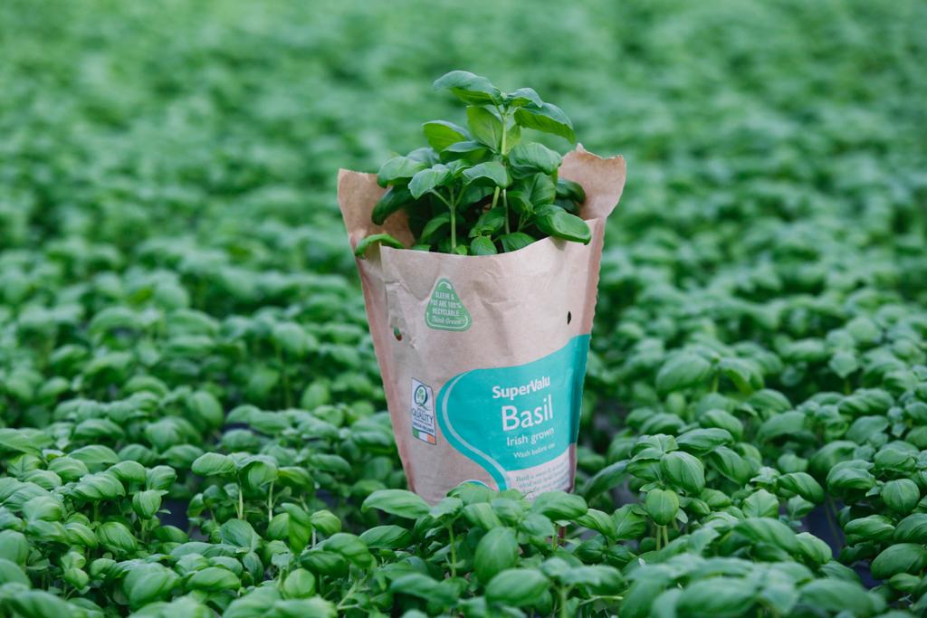 SuperValu Herbs