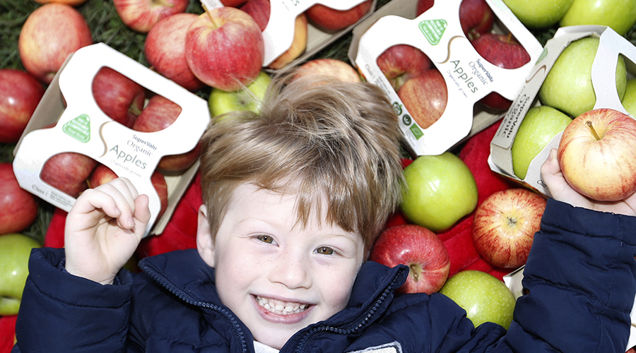 SuperValu Website Header