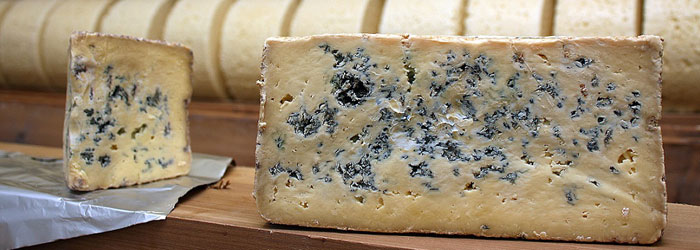 Bellingham Blue Bellingham Blue