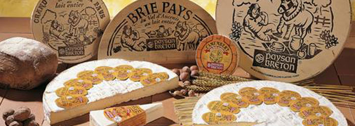 Brie de Pays Mature 52% Brie de Pays Mature 52%