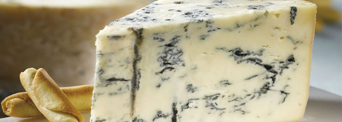 Gorgonzola Picante Gorgonzola Picante