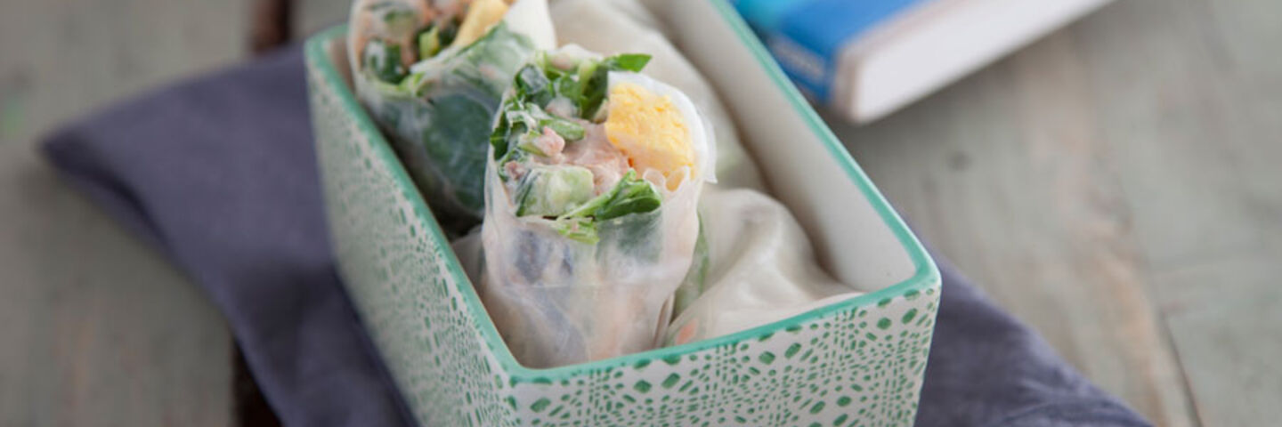 SpringRolls Main