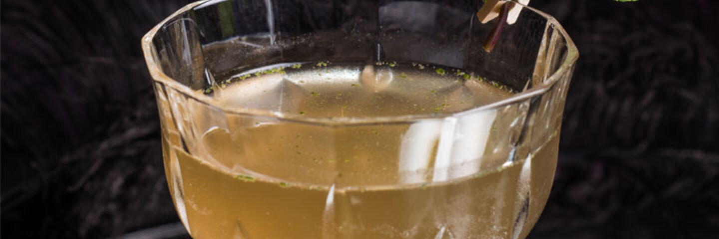 Wild martini teaser