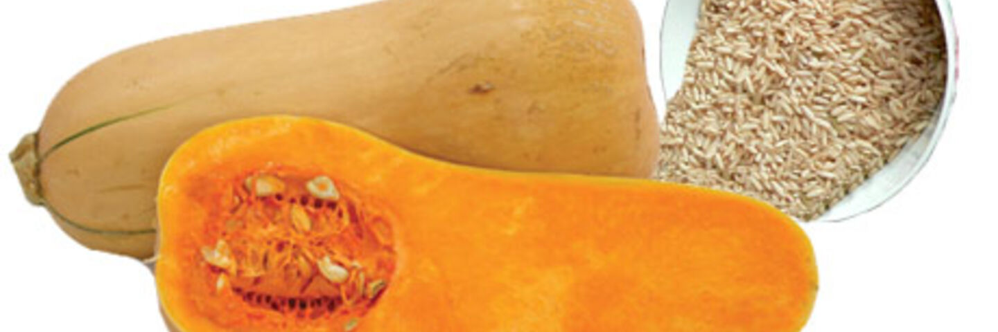 Butternut Squash, Chicken & Rice