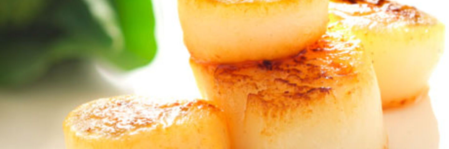 Pan Seared Scallops with Fennel Salad