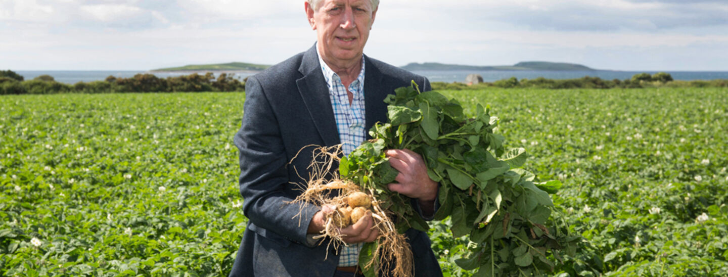 SuperValu Potatoes