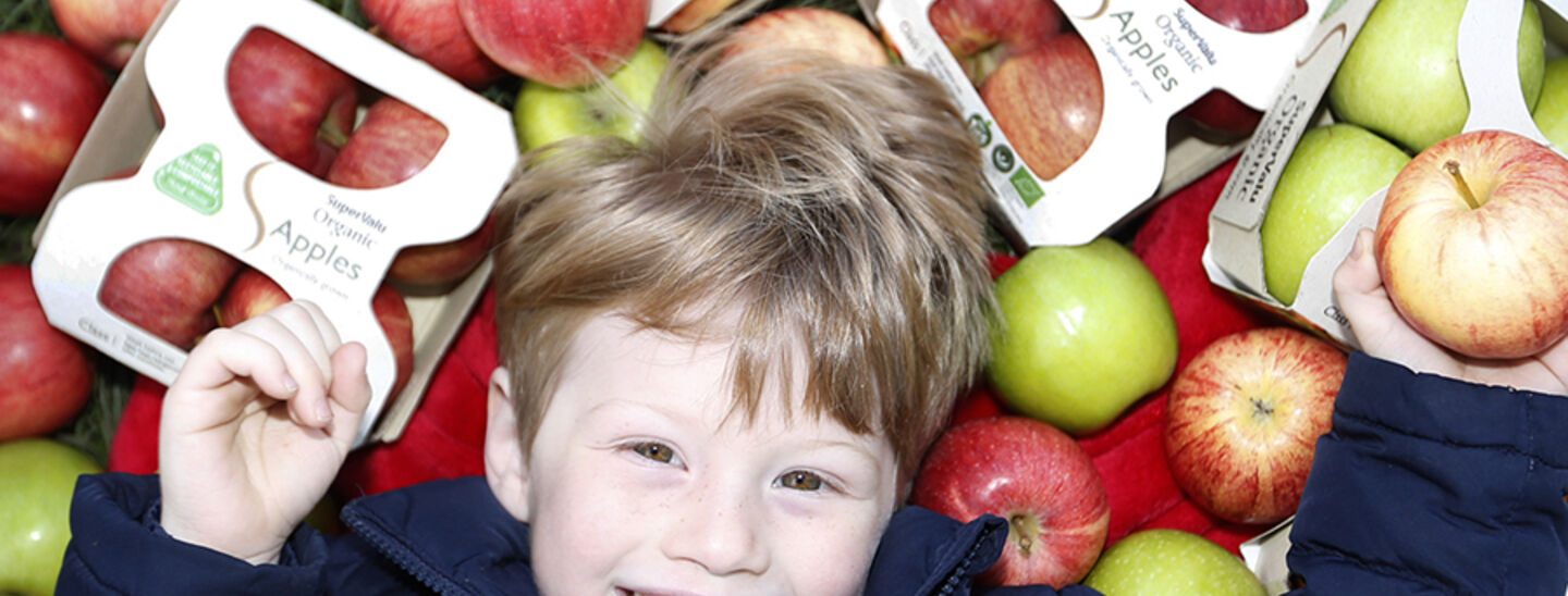 SuperValu Website Header