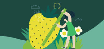 SV Sustainability Website Update 1 3 Pillars 330x160px V01 AW3   Sourcing for Good