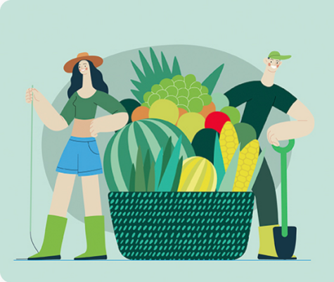 Grow Your Own