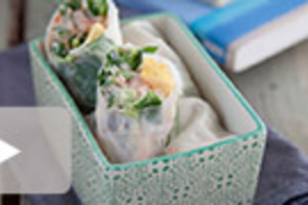 SpringRolls Teaser