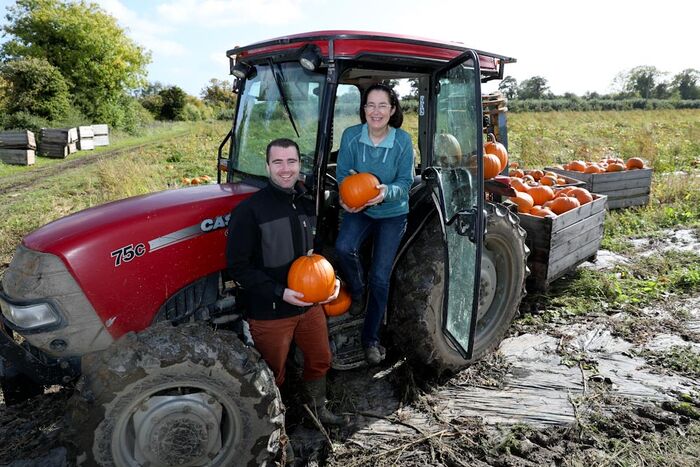SuperValu Pumpkin Suppliers