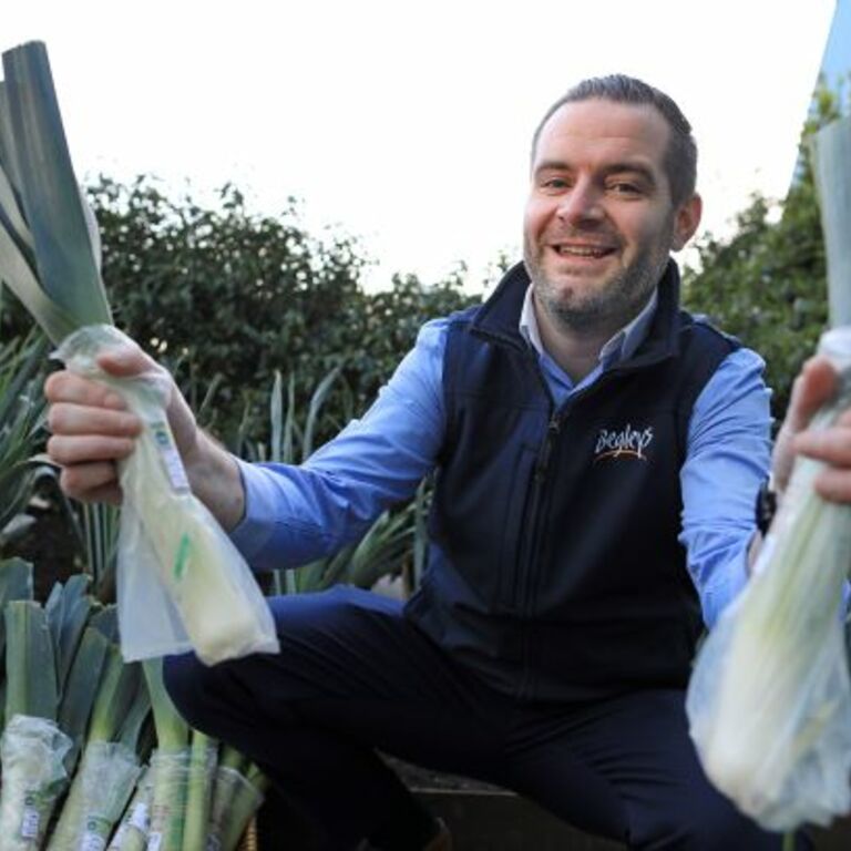 SuperValu Organic Leeks