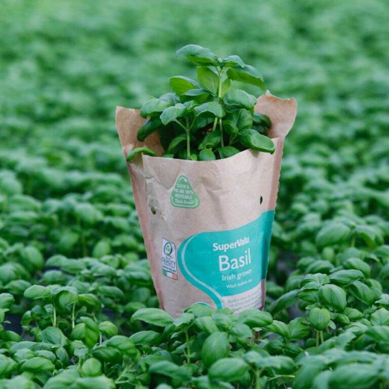 SuperValu Herbs