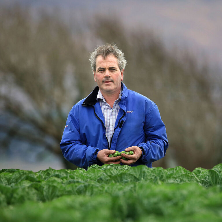 SuperValu Agrees Financial Supports For Irish Vegetable Growers To Ease Drought Crisis