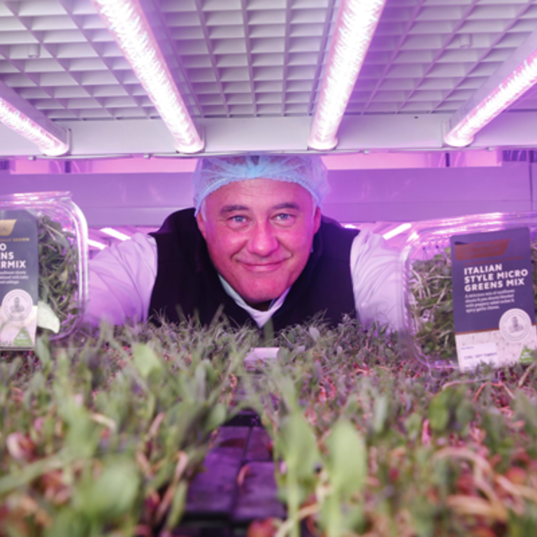 MicroGreens