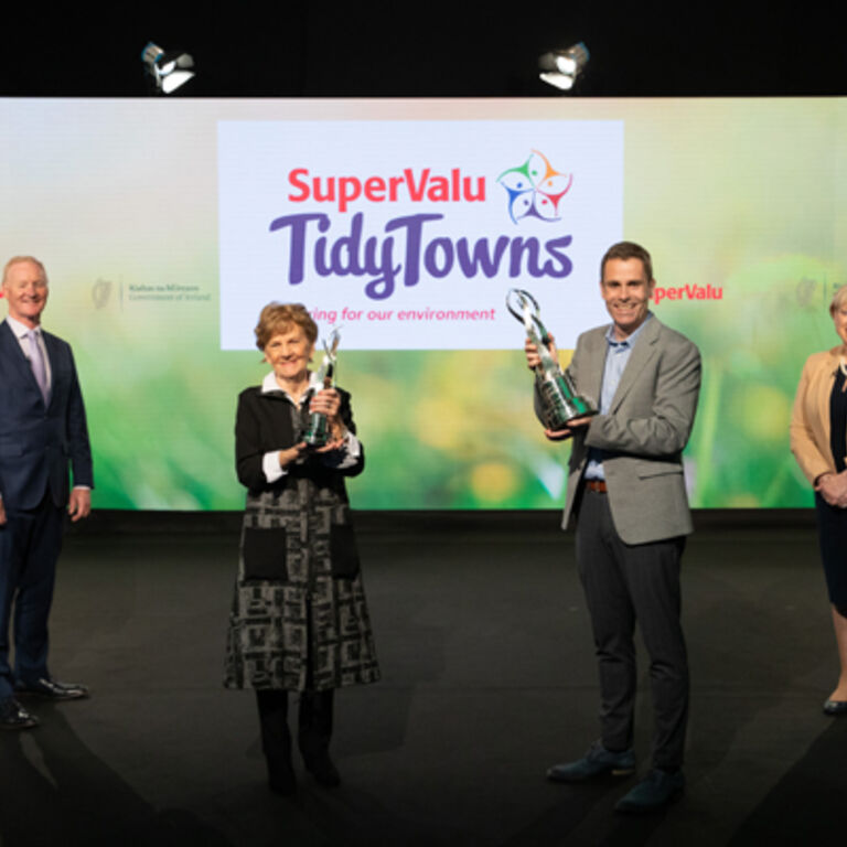TidyTowns2021