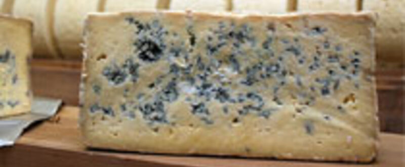 BellinghamBlue Teaser