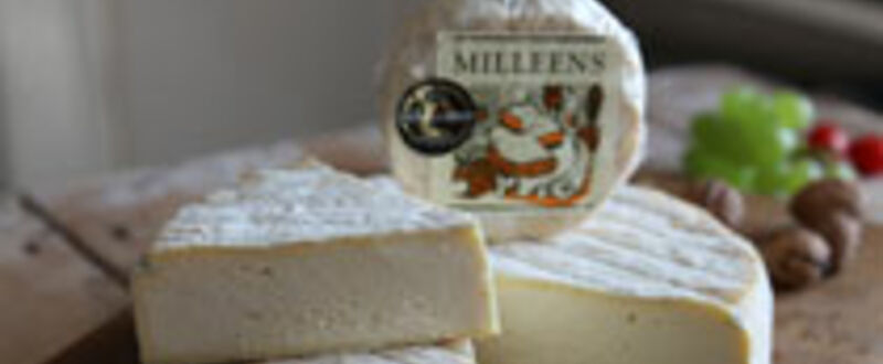 Milleens Teaser