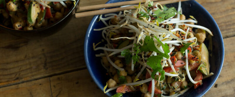 10 Minute Indonesian Satay
