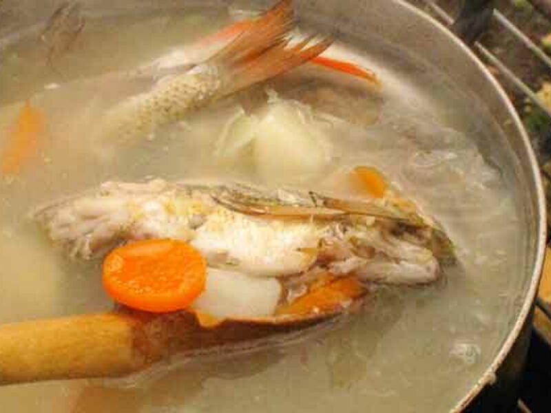 FishStock