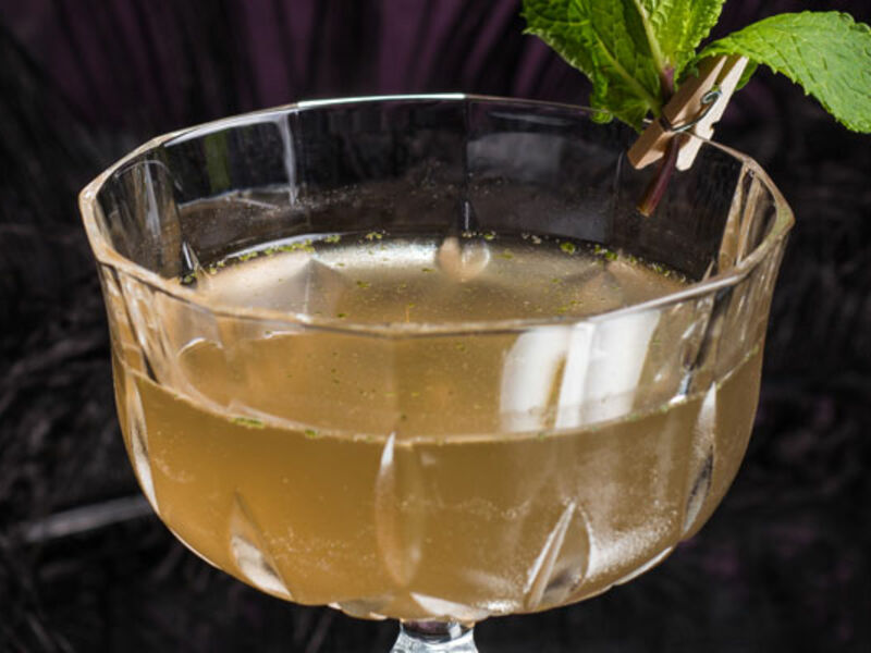 Wild martini teaser