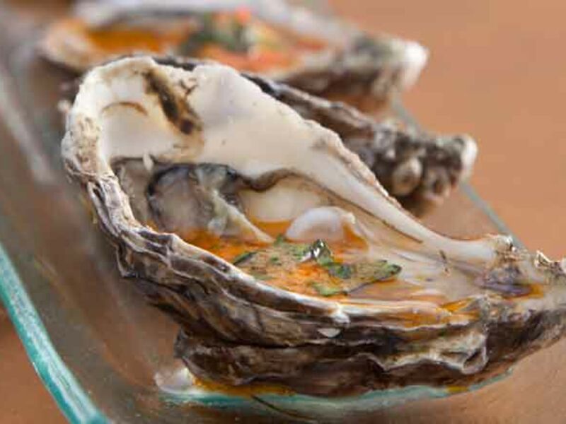 Oysters
