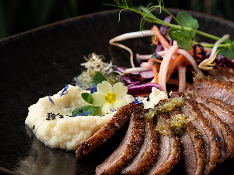 Duck salad recipe